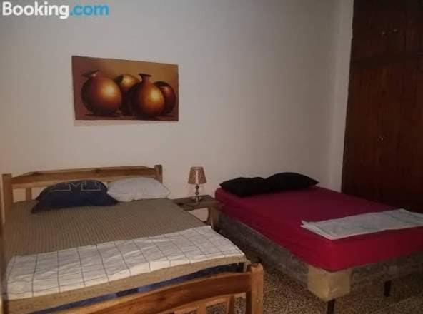 Casa Lucys Hostal Granada Eksteriør billede